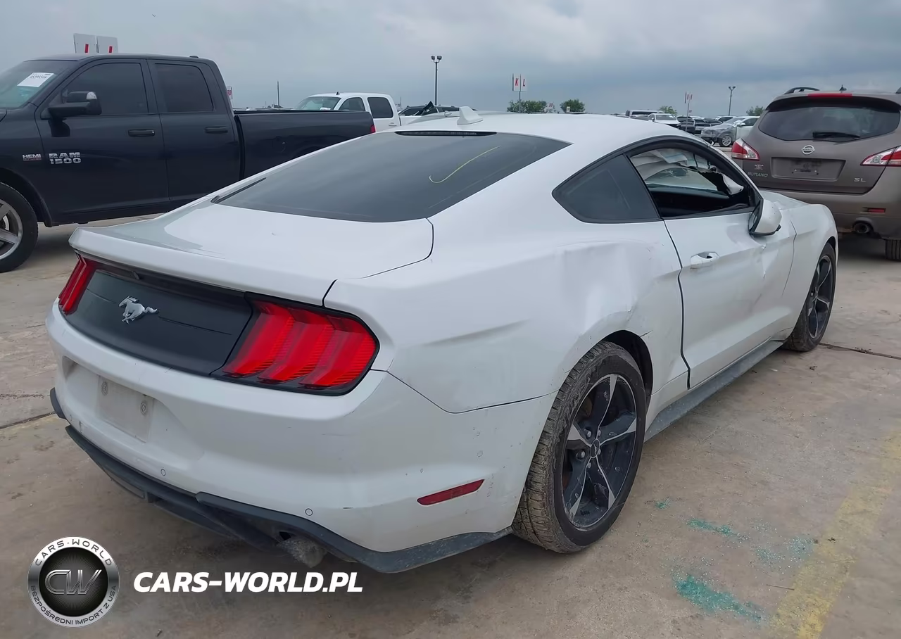 2021 Ford Mustang Ecoboost Fastback VIN:1FA6P8THXM5135023 - 4