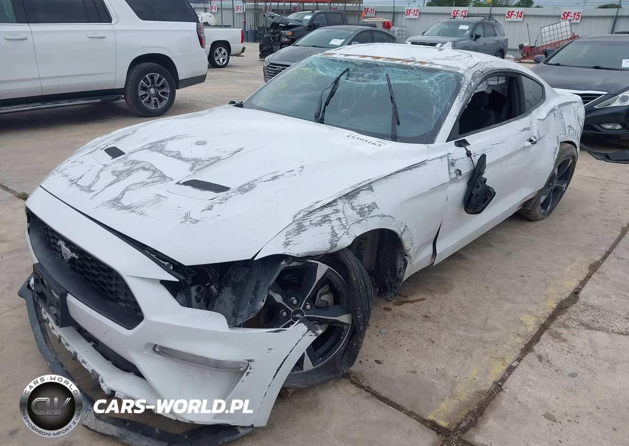 2021 Ford Mustang Ecoboost Fastback VIN:1FA6P8THXM5135023 - 6