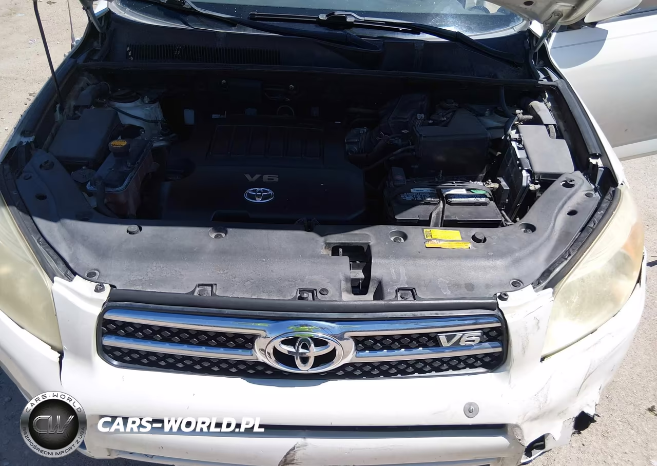 2007 Toyota Rav4 Limited VIN:JTMZK31V575009450 - 10