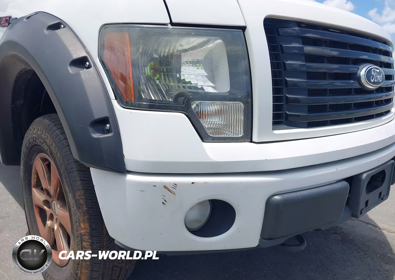 2012 Ford F-150 Fx4-King Ranch-Lariat-Platinum-Xl-Xlt VIN:1FTFW1EF2CFB29595 - 6