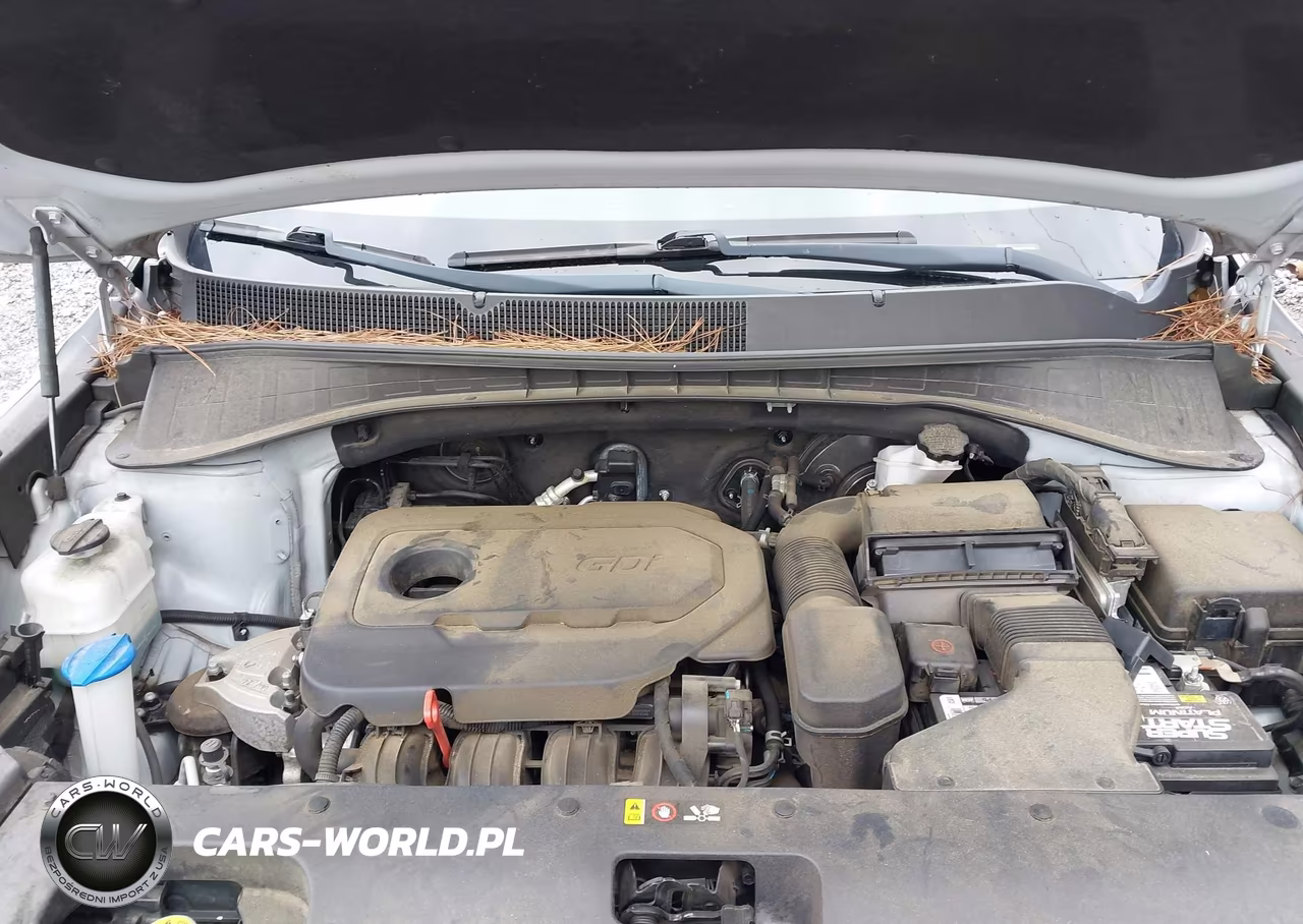 2019 Kia Sorento 2.4L Lx VIN:5XYPG4A30KG512946 - 10