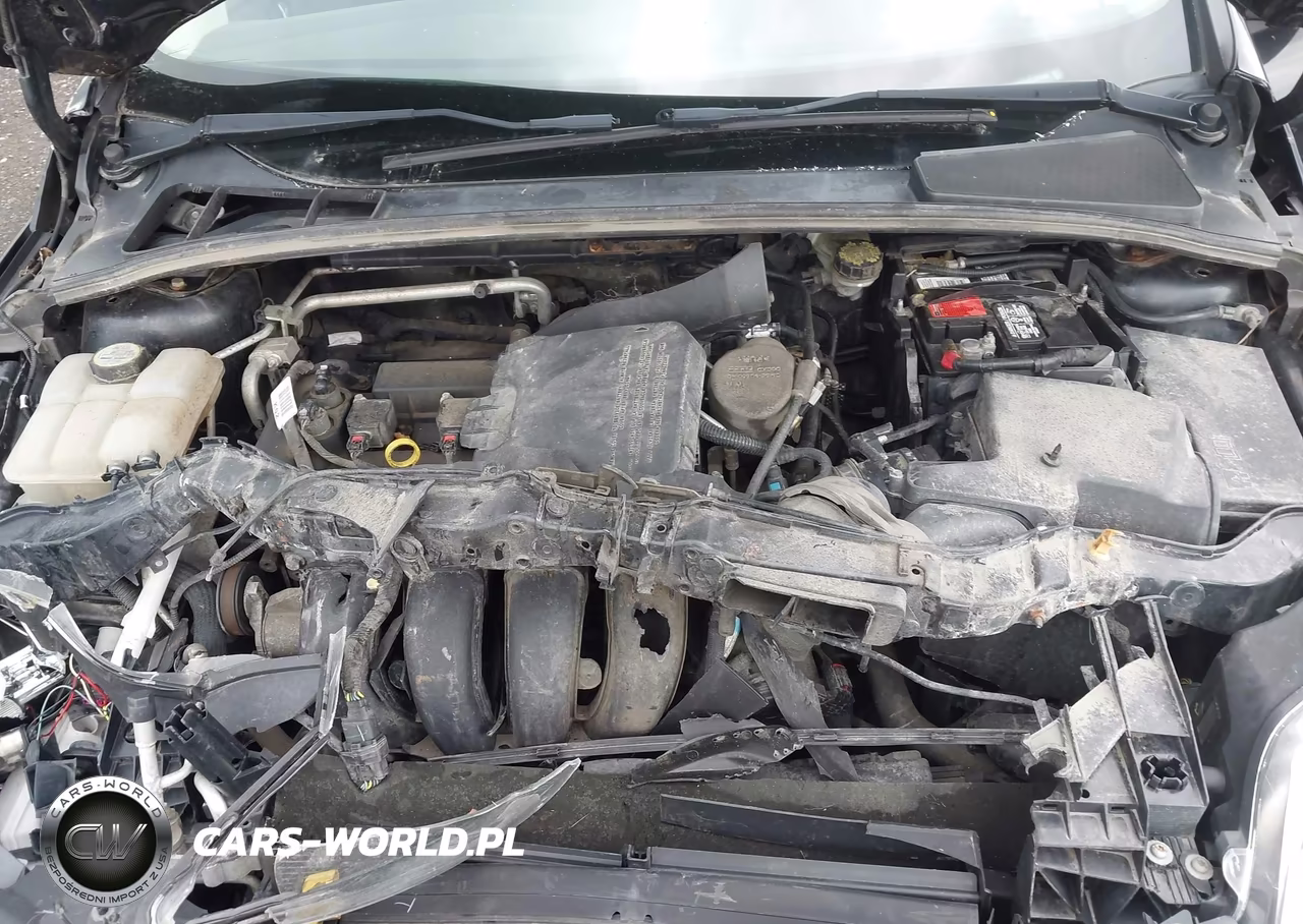 2013 Ford Focus Se VIN:1FADP3F24DL358669 - 10