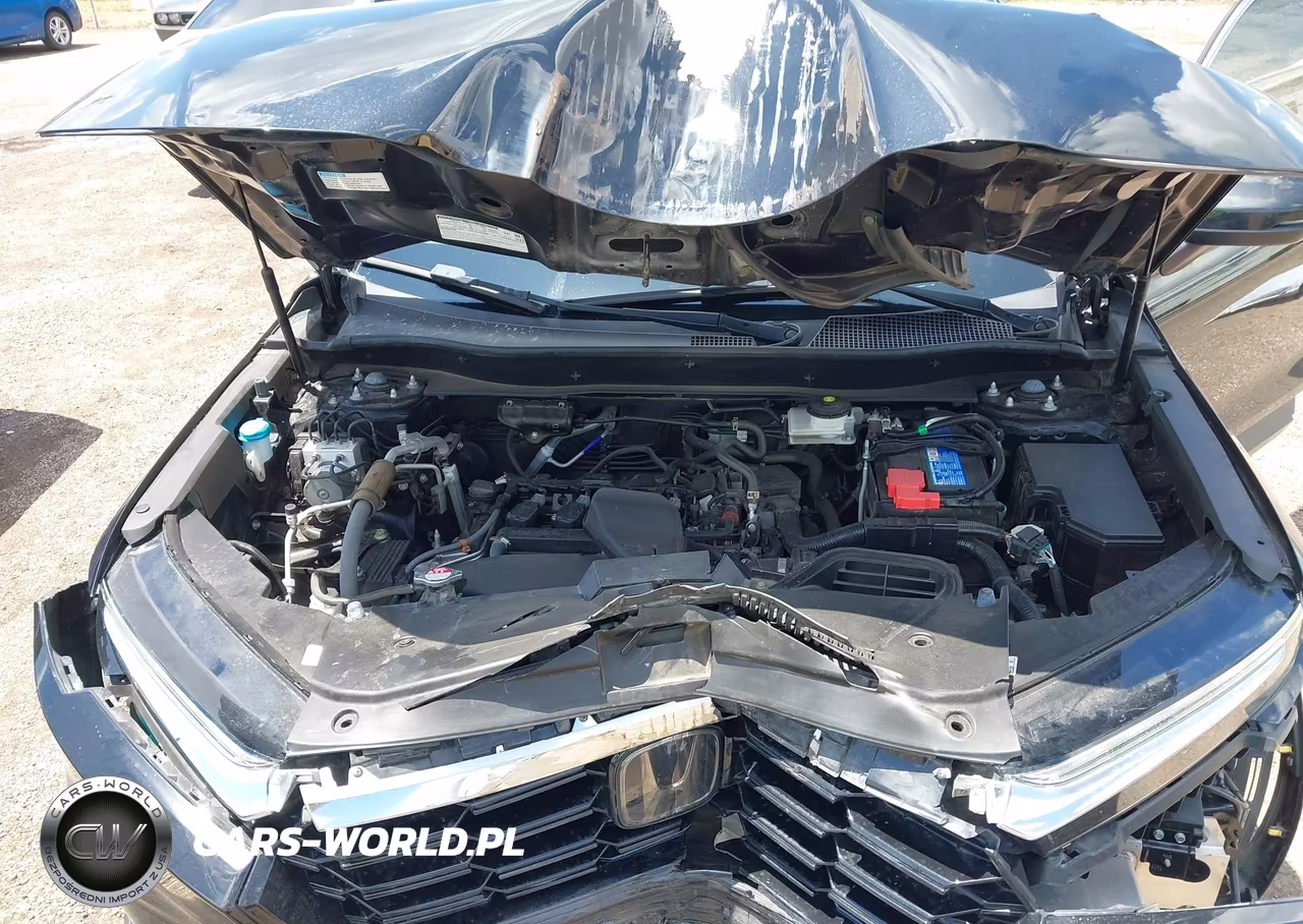 2023 Honda Cr-V Ex-L 2Wd VIN:5J6RS3H79PL007939 - 10