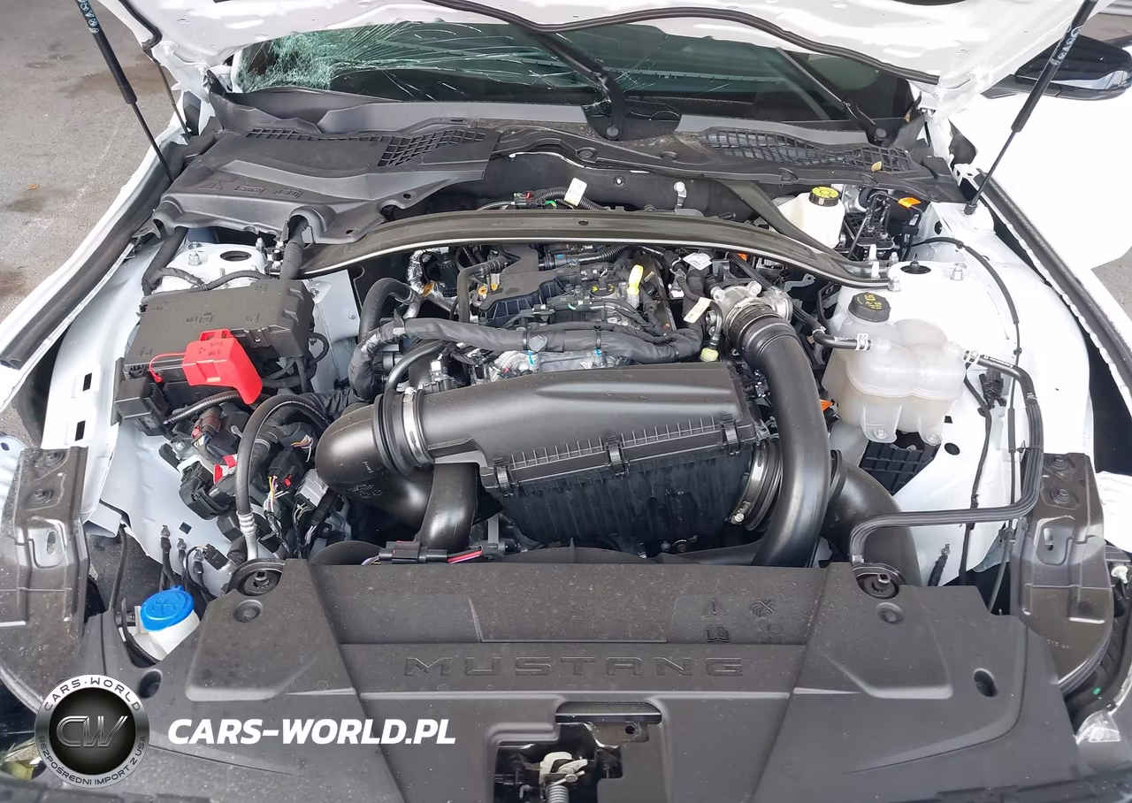 2026 Ford Mustang Ecoboost Premium VIN:1FAGP8UH5T5110225 - 10