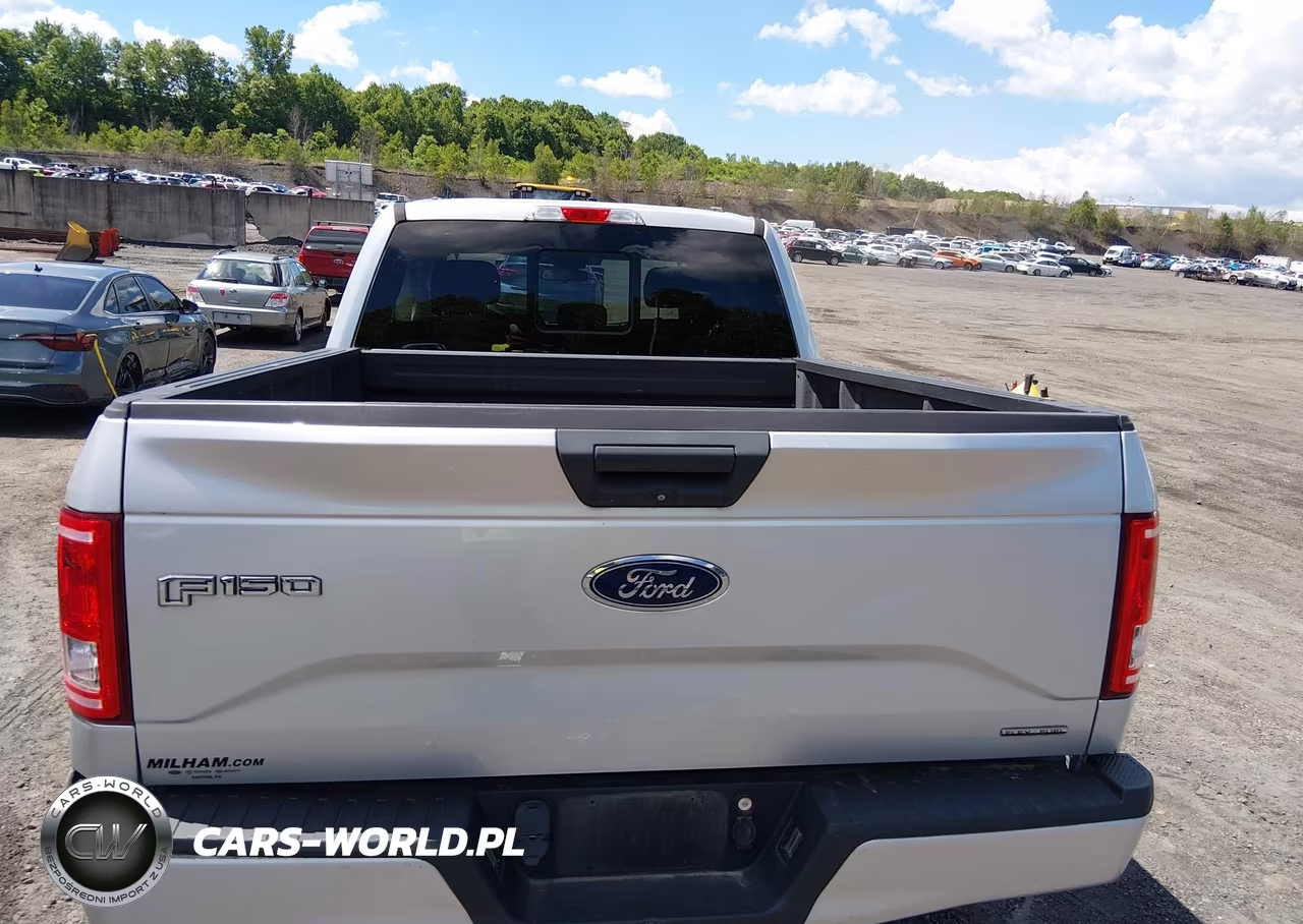 2015 Ford F-150 Xl VIN:1FTEX1E81FFA47856 - 16
