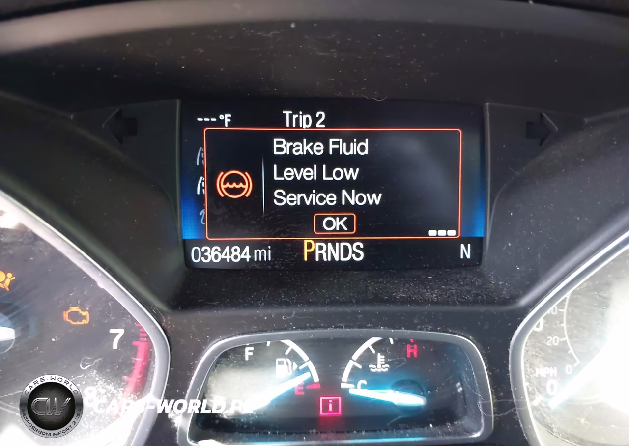 2019 Ford Escape Se VIN:1FMCU9GD0KUA58342 - 7