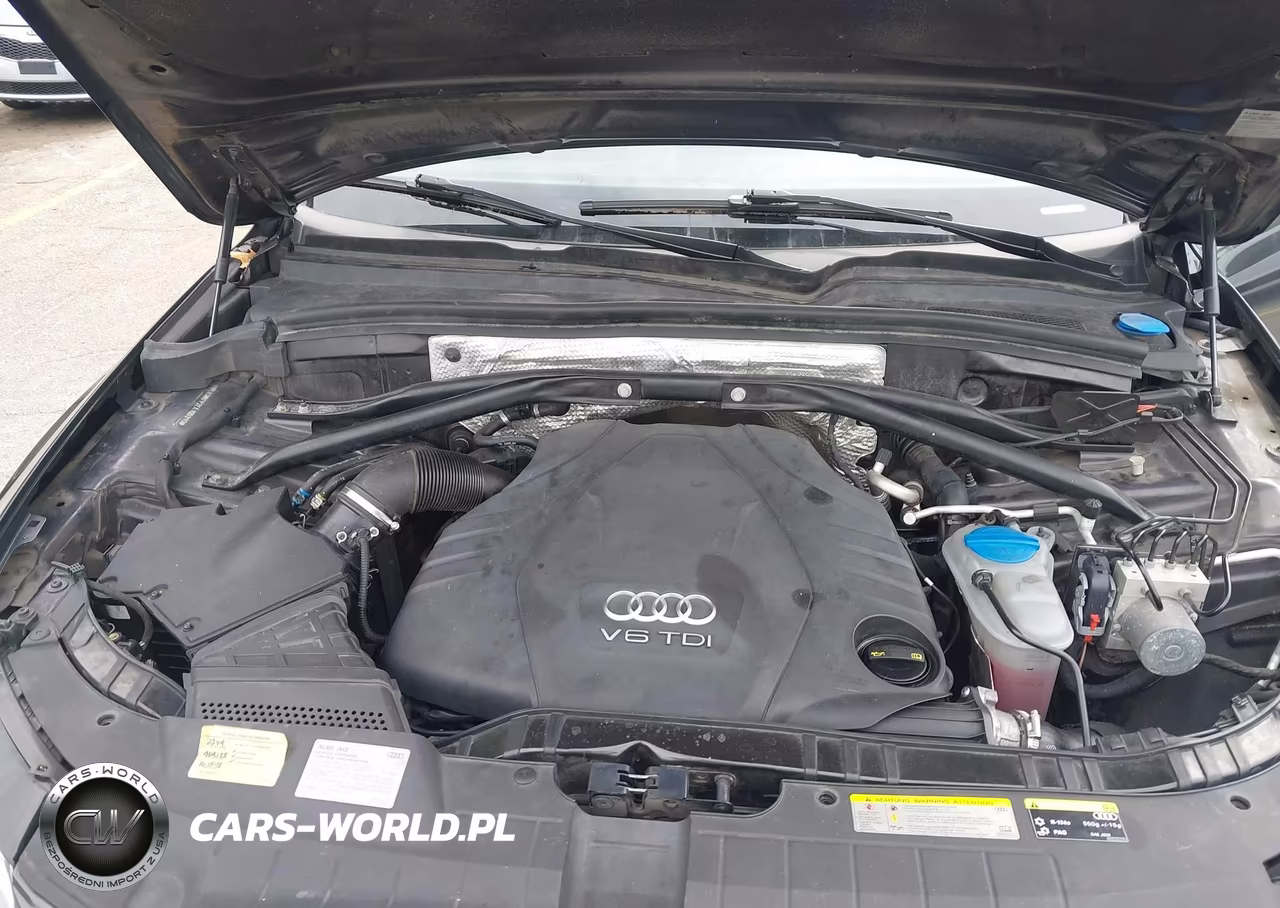 2014 Audi Q5 3.0 Tdi Premium Plus VIN:WA1CMAFP2EA105310 - 10