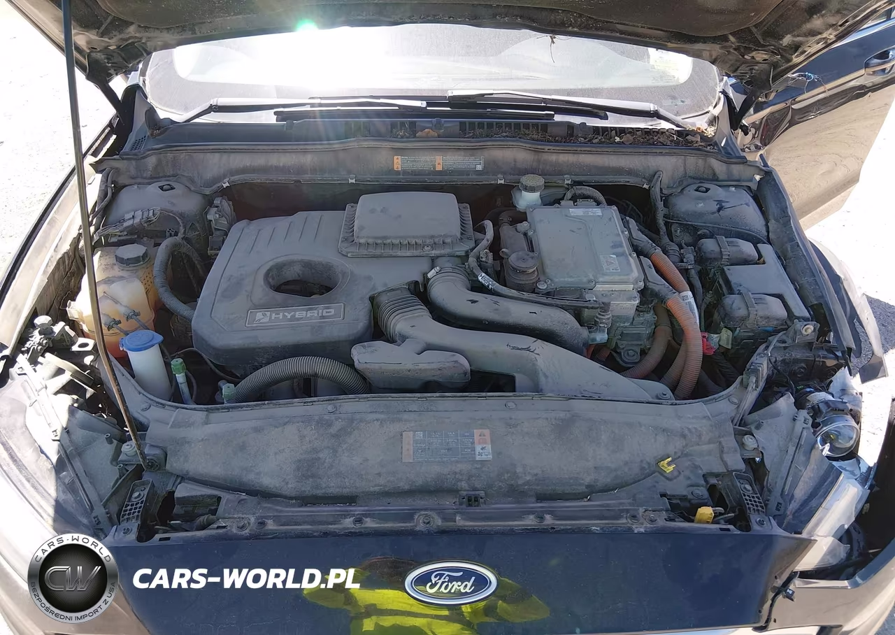 2017 Ford Fusion Hybrid Se VIN:3FA6P0LU4HR233756 - 10