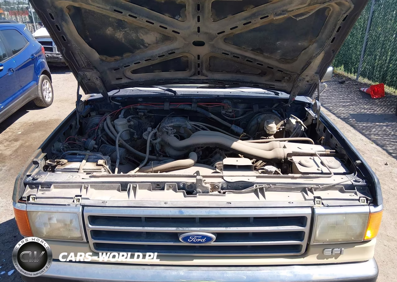 1990 Ford F150 VIN:1FTDF15N0LPB04641 - 10