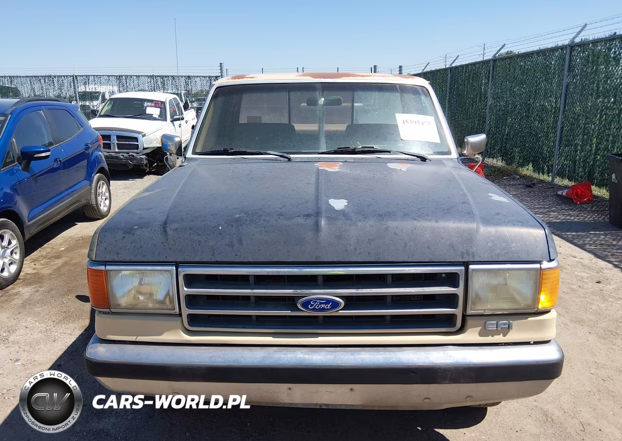 1990 Ford F150 VIN:1FTDF15N0LPB04641 - 6