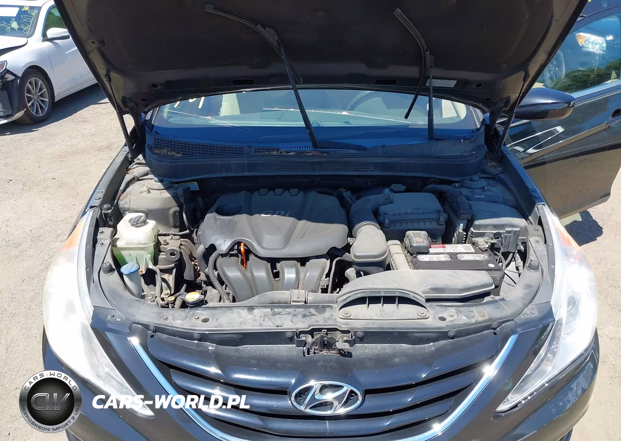 2011 Hyundai Sonata Gls VIN:5NPEB4AC1BH207986 - 10