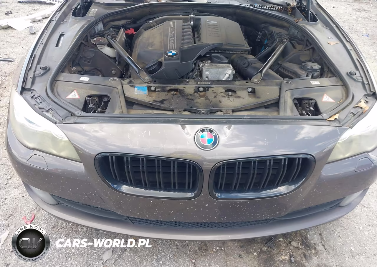 2011 BMW 535I VIN:WBAFR7C50BC604677 - 10