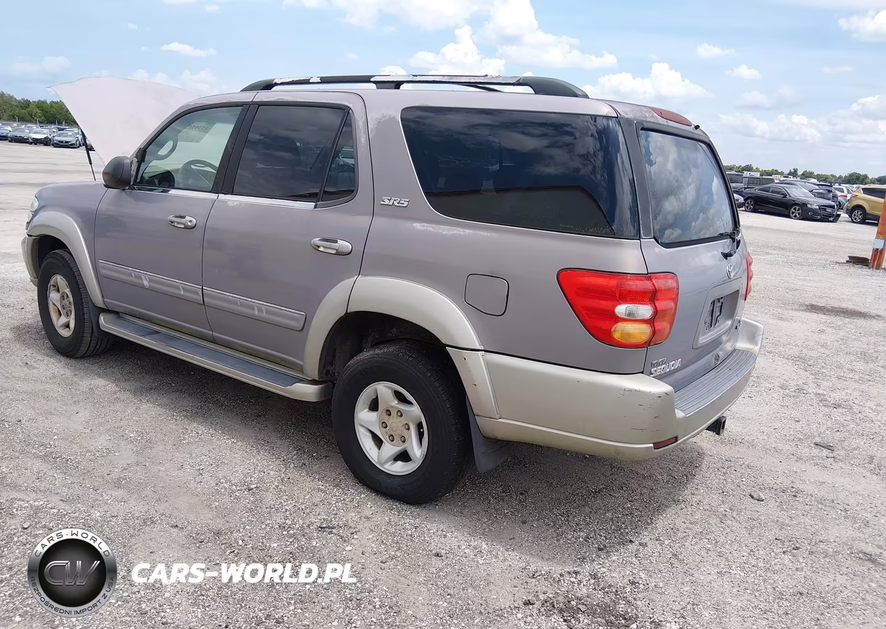 2001 Toyota Sequoia Sr5 V8 VIN:5TDZT34AX1S048994 - 3