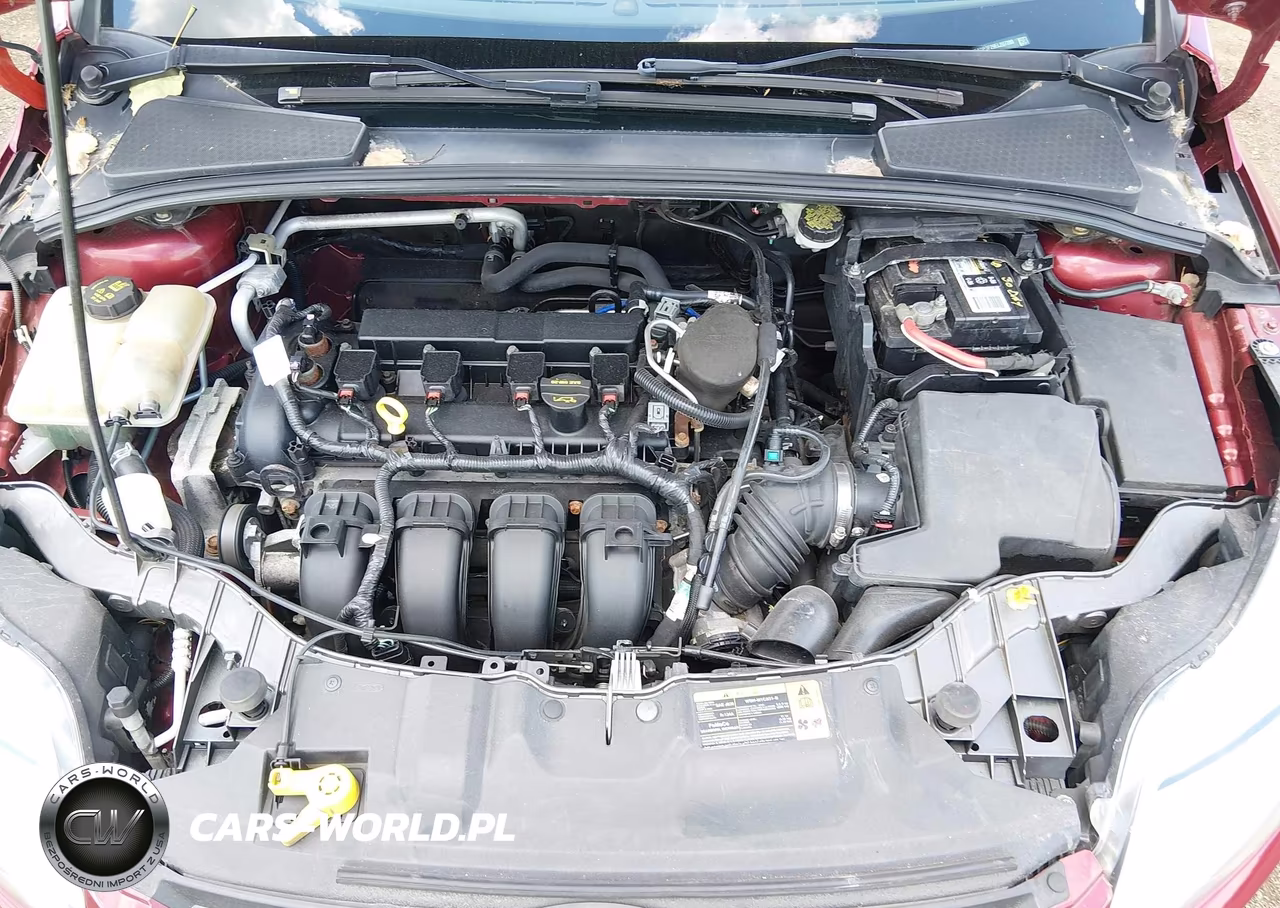 2014 Ford Focus Se VIN:1FADP3F29EL207280 - 10