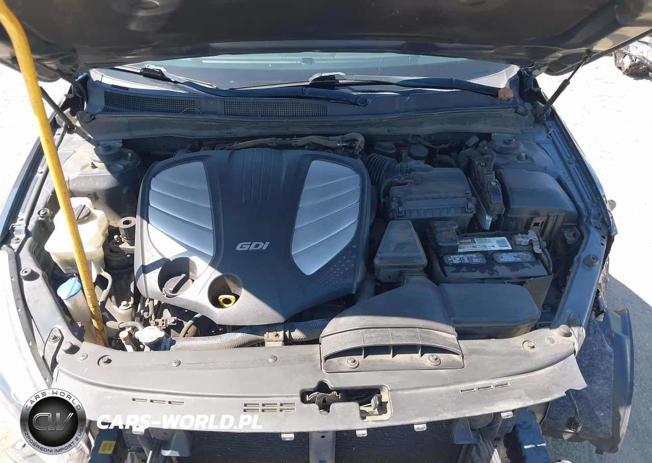 2015 Kia Cadenza Limited VIN:KNALN4D75F5191856 - 10