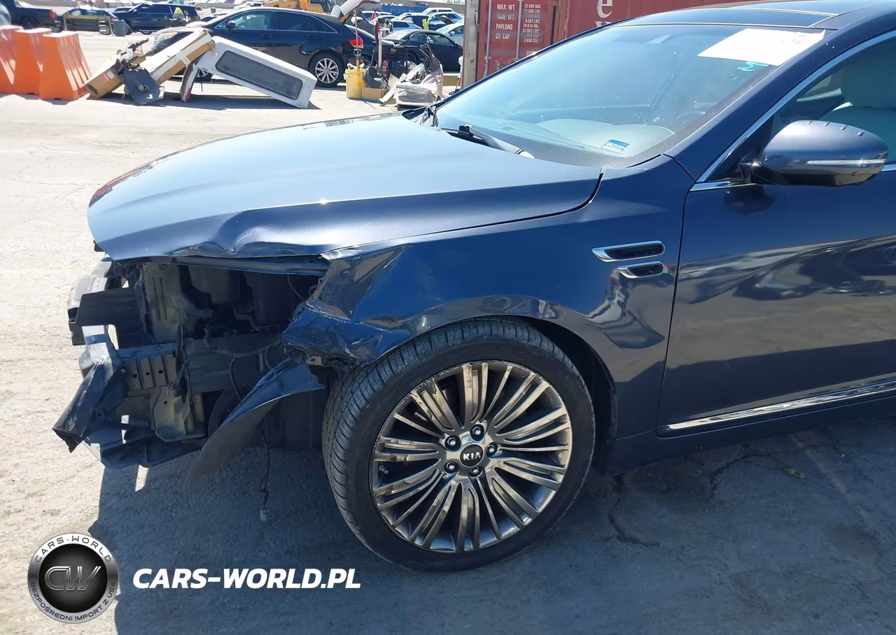 2015 Kia Cadenza Limited VIN:KNALN4D75F5191856 - 13