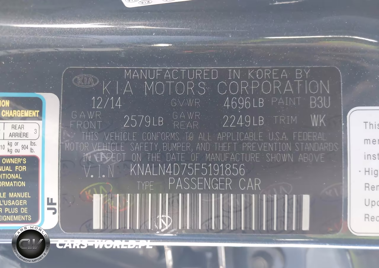 2015 Kia Cadenza Limited VIN:KNALN4D75F5191856 - 9