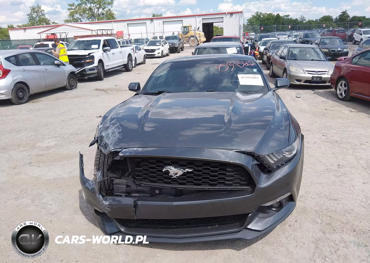 2017 Ford Mustang Ecoboost VIN:1FA6P8TH9H5309489 - 12