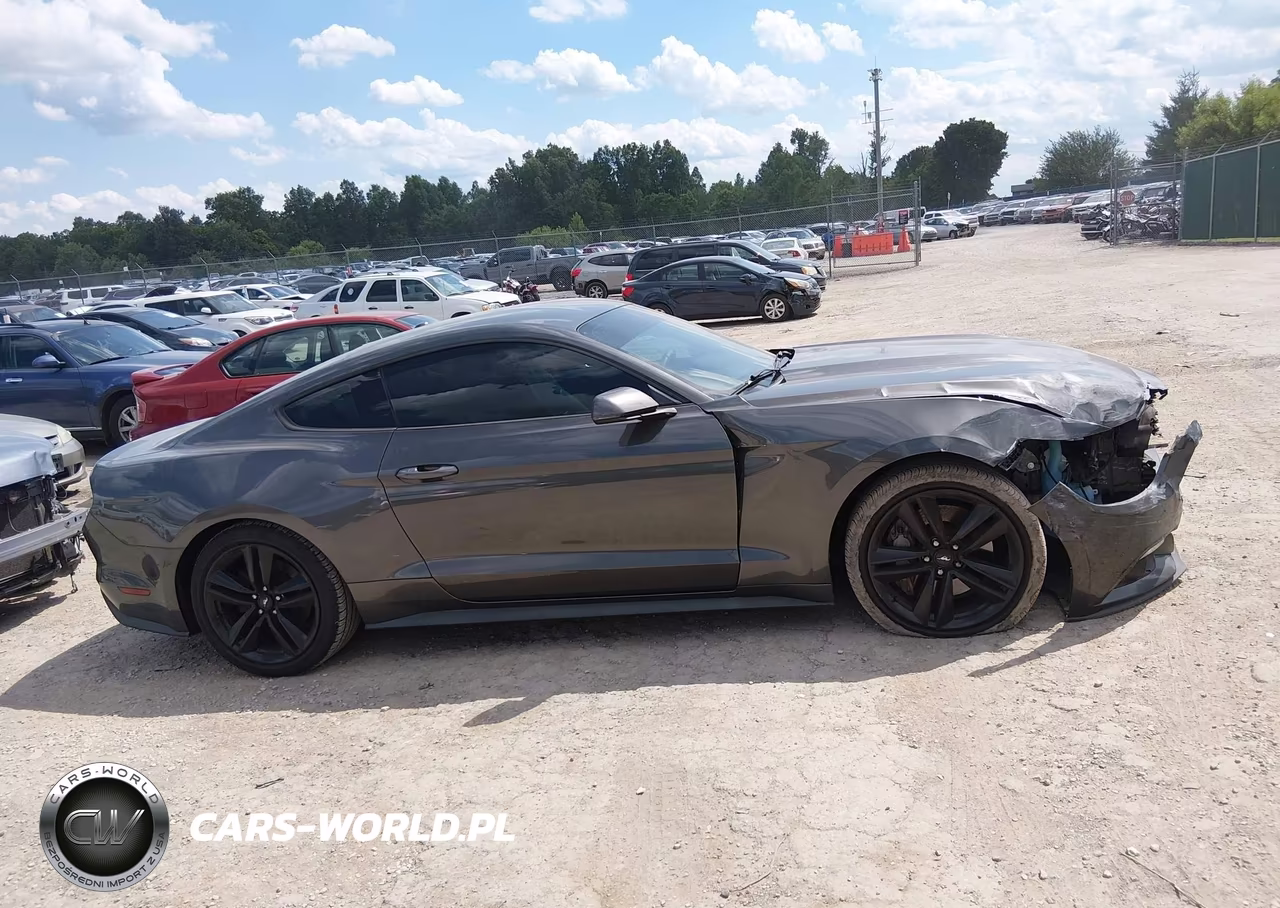 2017 Ford Mustang Ecoboost VIN:1FA6P8TH9H5309489 - 13