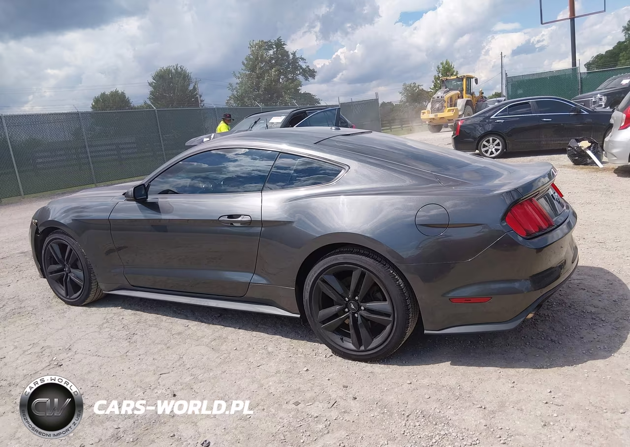 2017 Ford Mustang Ecoboost VIN:1FA6P8TH9H5309489 - 14