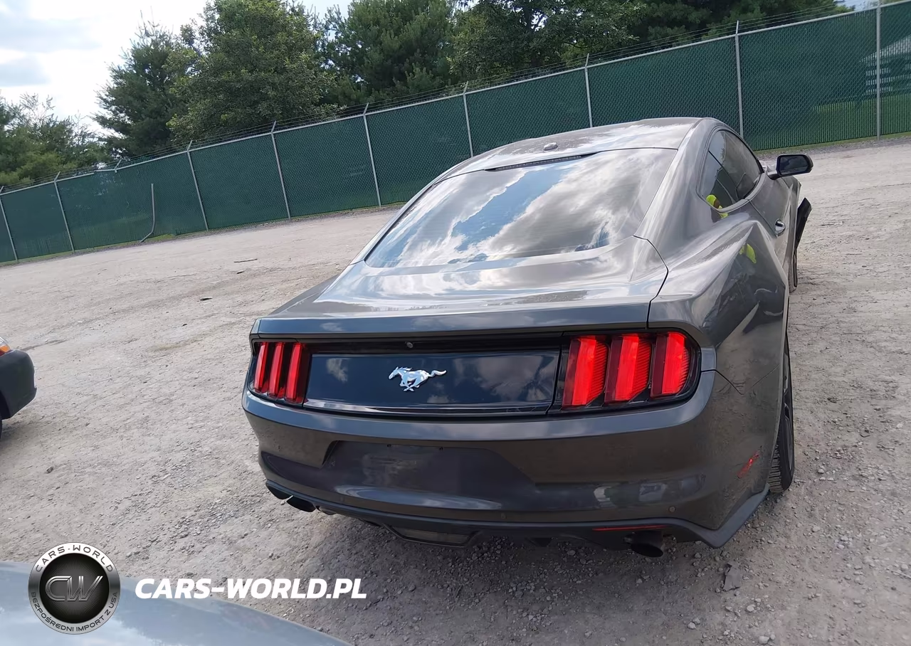 2017 Ford Mustang Ecoboost VIN:1FA6P8TH9H5309489 - 16