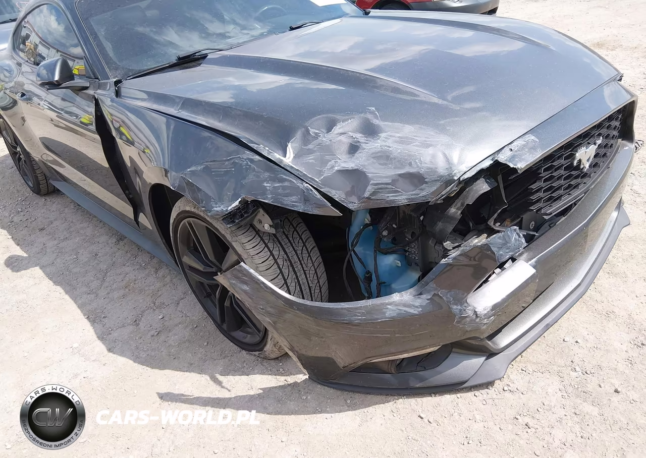 2017 Ford Mustang Ecoboost VIN:1FA6P8TH9H5309489 - 17