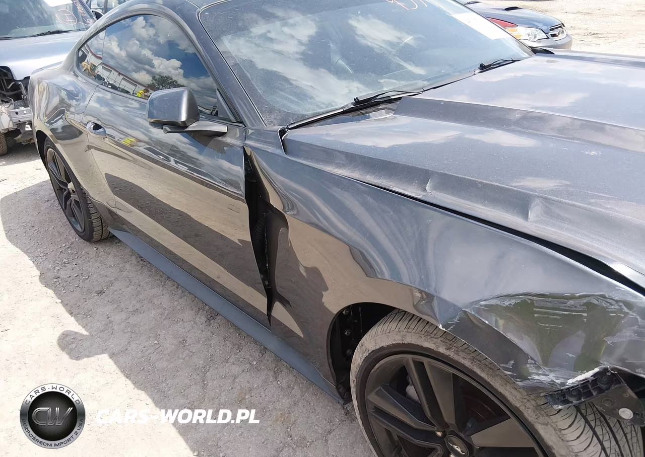 2017 Ford Mustang Ecoboost VIN:1FA6P8TH9H5309489 - 18