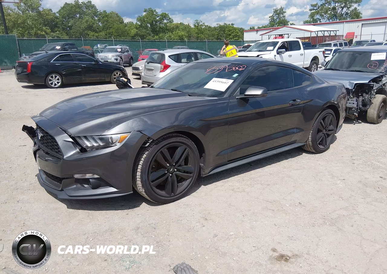 2017 Ford Mustang Ecoboost VIN:1FA6P8TH9H5309489 - 2