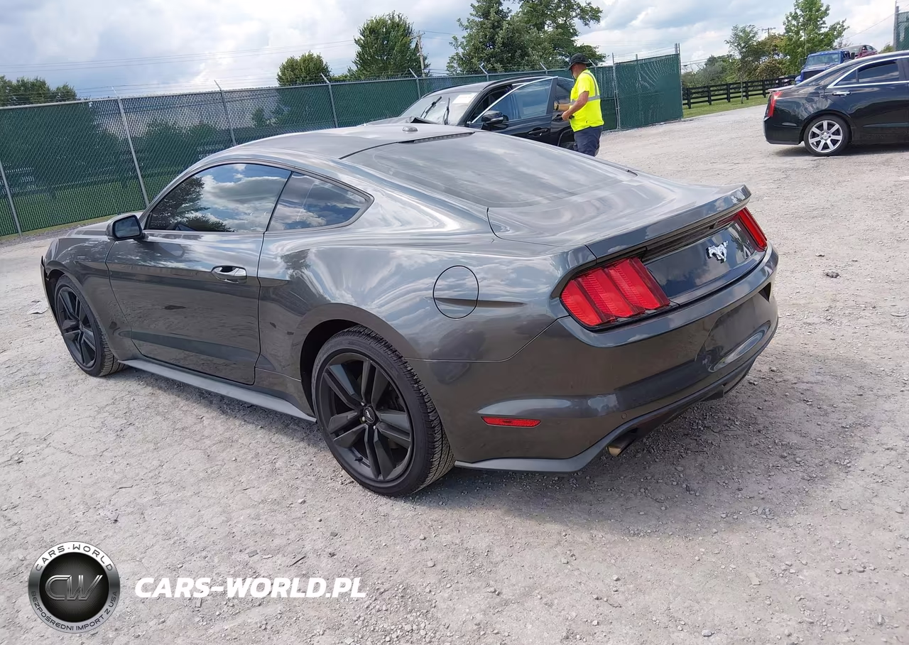 2017 Ford Mustang Ecoboost VIN:1FA6P8TH9H5309489 - 3