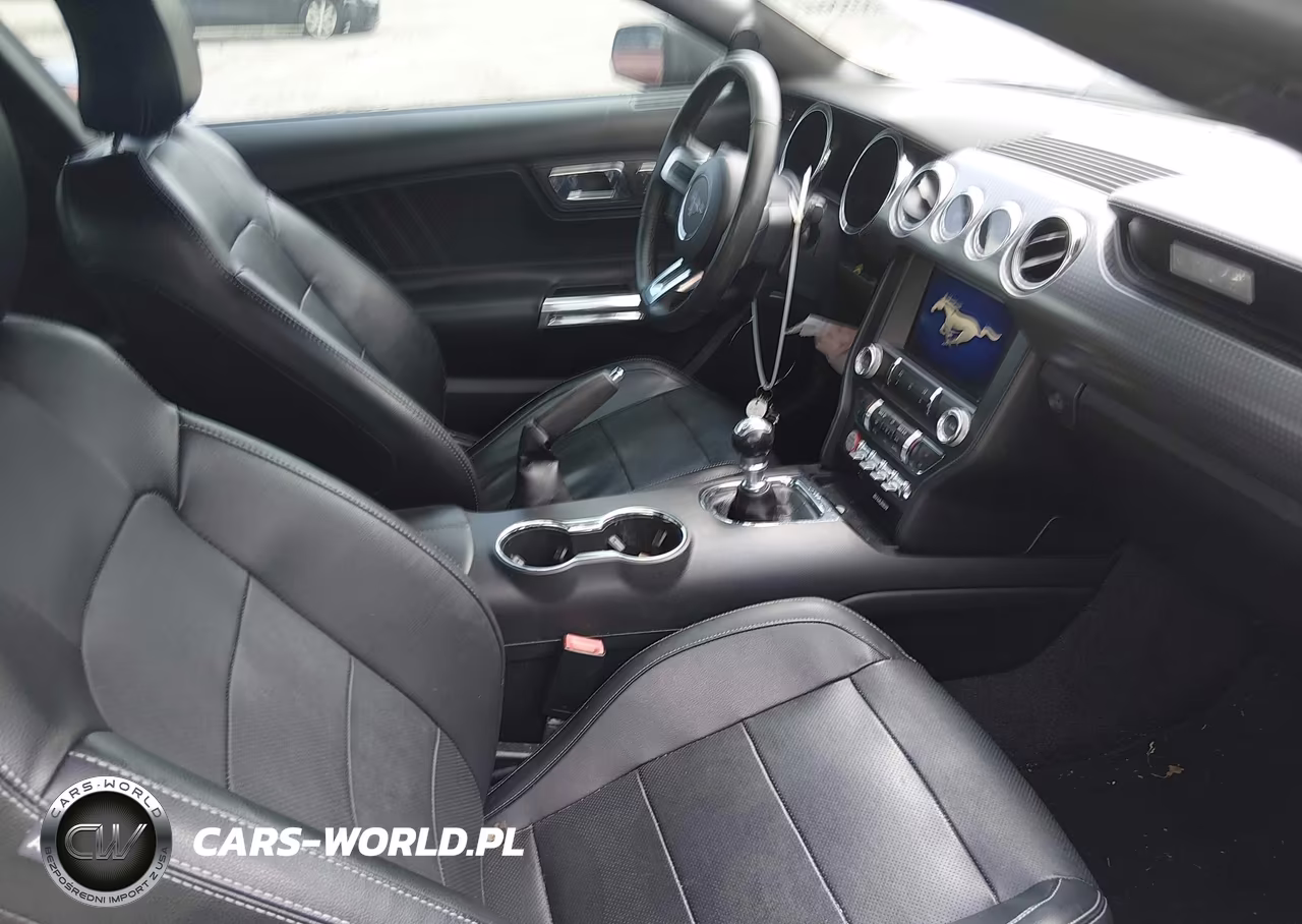 2017 Ford Mustang Ecoboost VIN:1FA6P8TH9H5309489 - 5