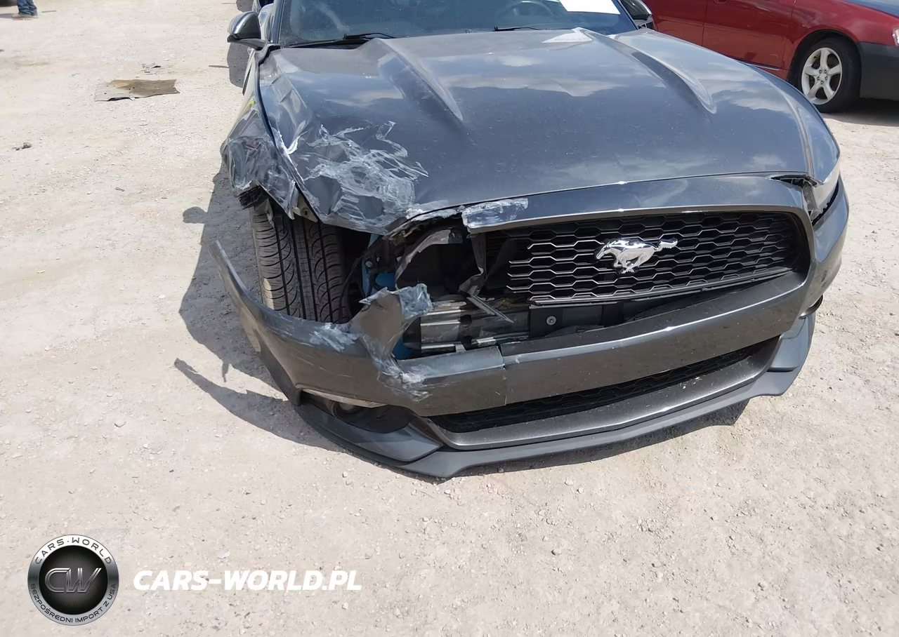 2017 Ford Mustang Ecoboost VIN:1FA6P8TH9H5309489 - 6