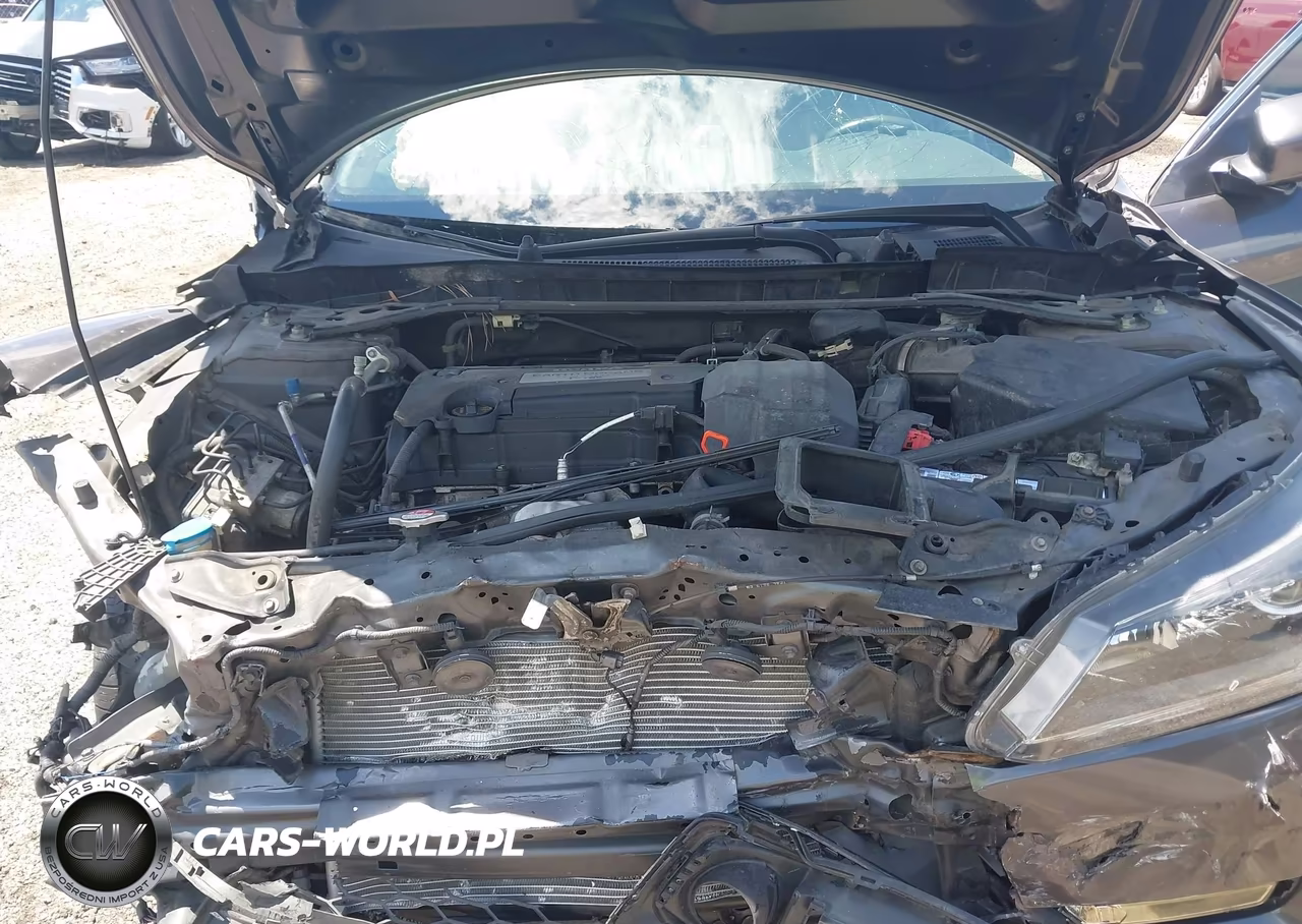 2013 Honda Accord Ex-L VIN:1HGCR2F85DA243851 - 10
