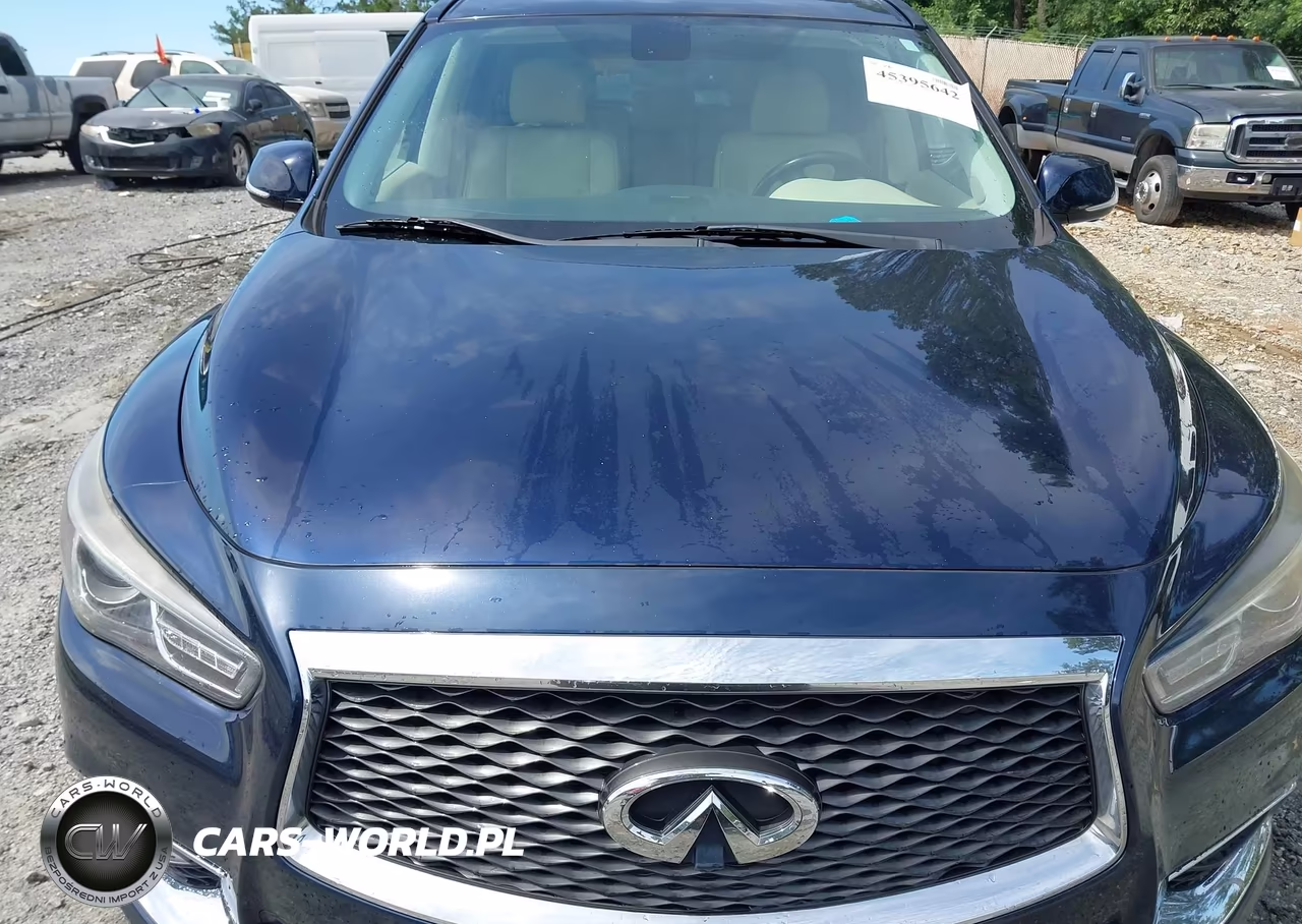 2017 Infiniti Qx60 VIN:5N1DL0MN4HC542741 - 10