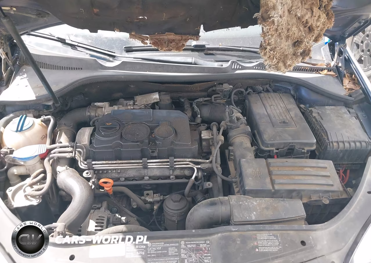 2006 Volkswagen Jetta Tdi VIN:3VWDT71KX6M751742 - 10