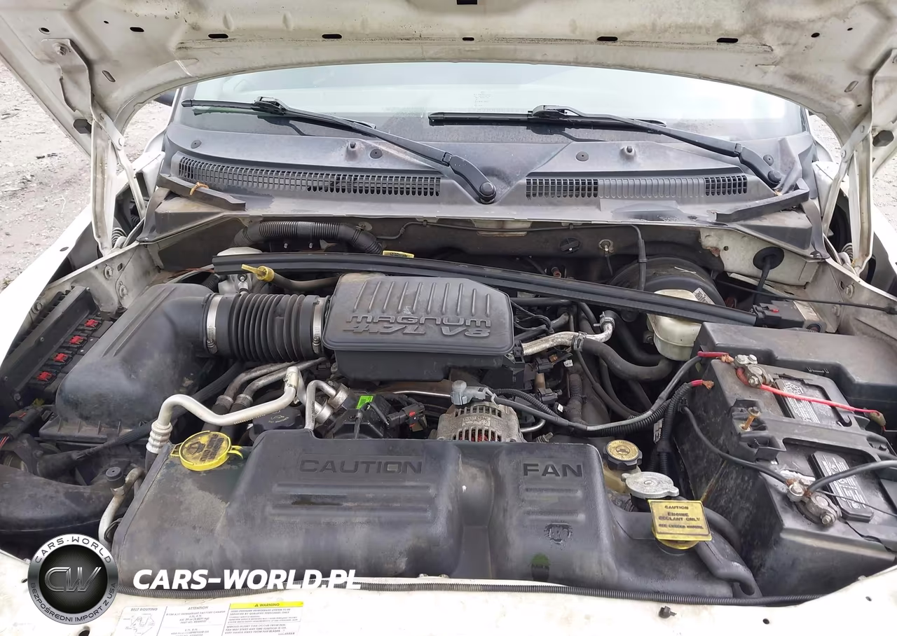 2004 Dodge Dakota Sport-Sxt VIN:1D7HL38N94S654118 - 10