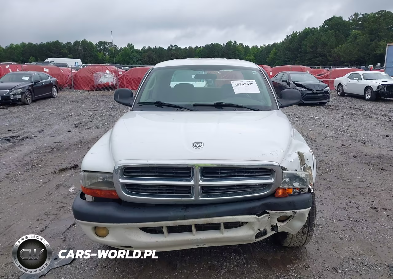 2004 Dodge Dakota Sport-Sxt VIN:1D7HL38N94S654118 - 12