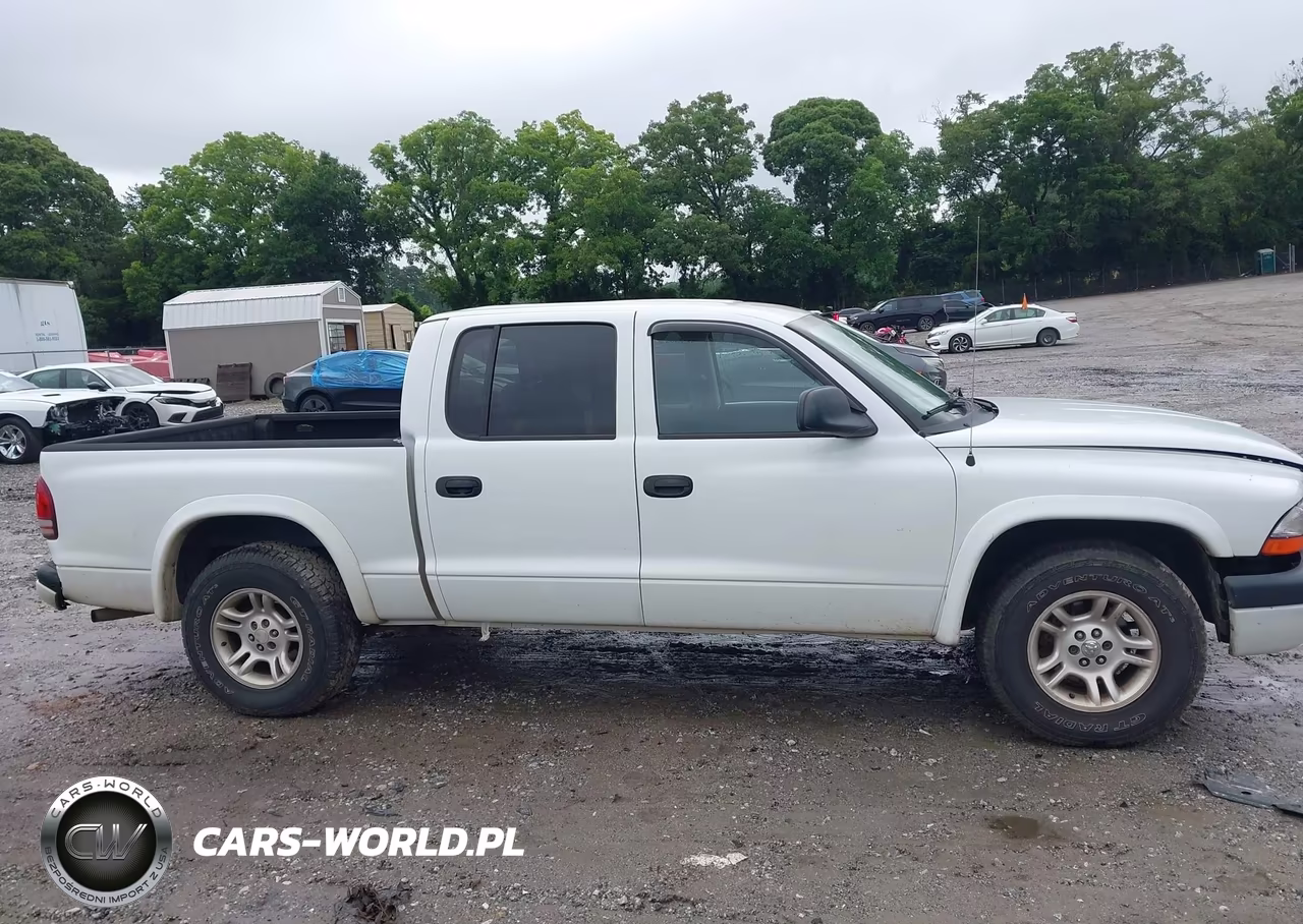 2004 Dodge Dakota Sport-Sxt VIN:1D7HL38N94S654118 - 13