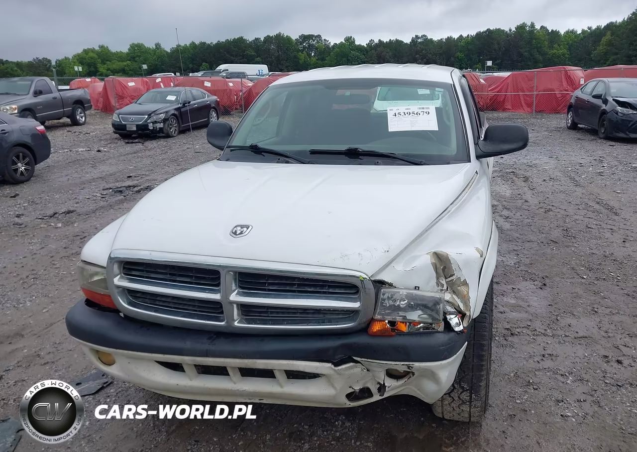 2004 Dodge Dakota Sport-Sxt VIN:1D7HL38N94S654118 - 6