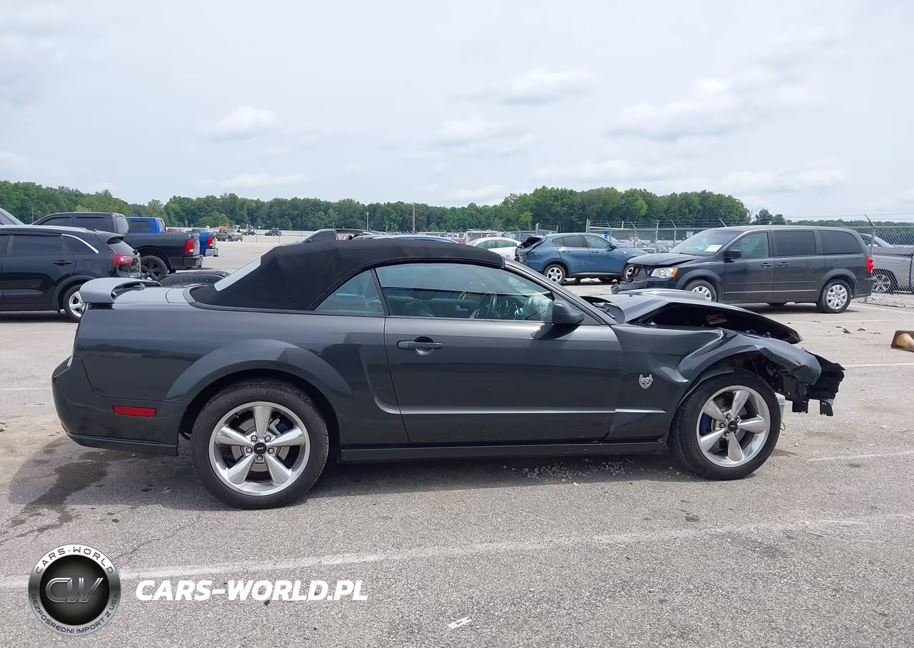 2009 Ford Mustang Gt-Gt Premium VIN:1ZVHT85H295121326 - 14