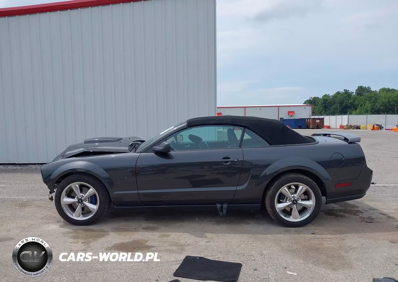 2009 Ford Mustang Gt-Gt Premium VIN:1ZVHT85H295121326 - 15