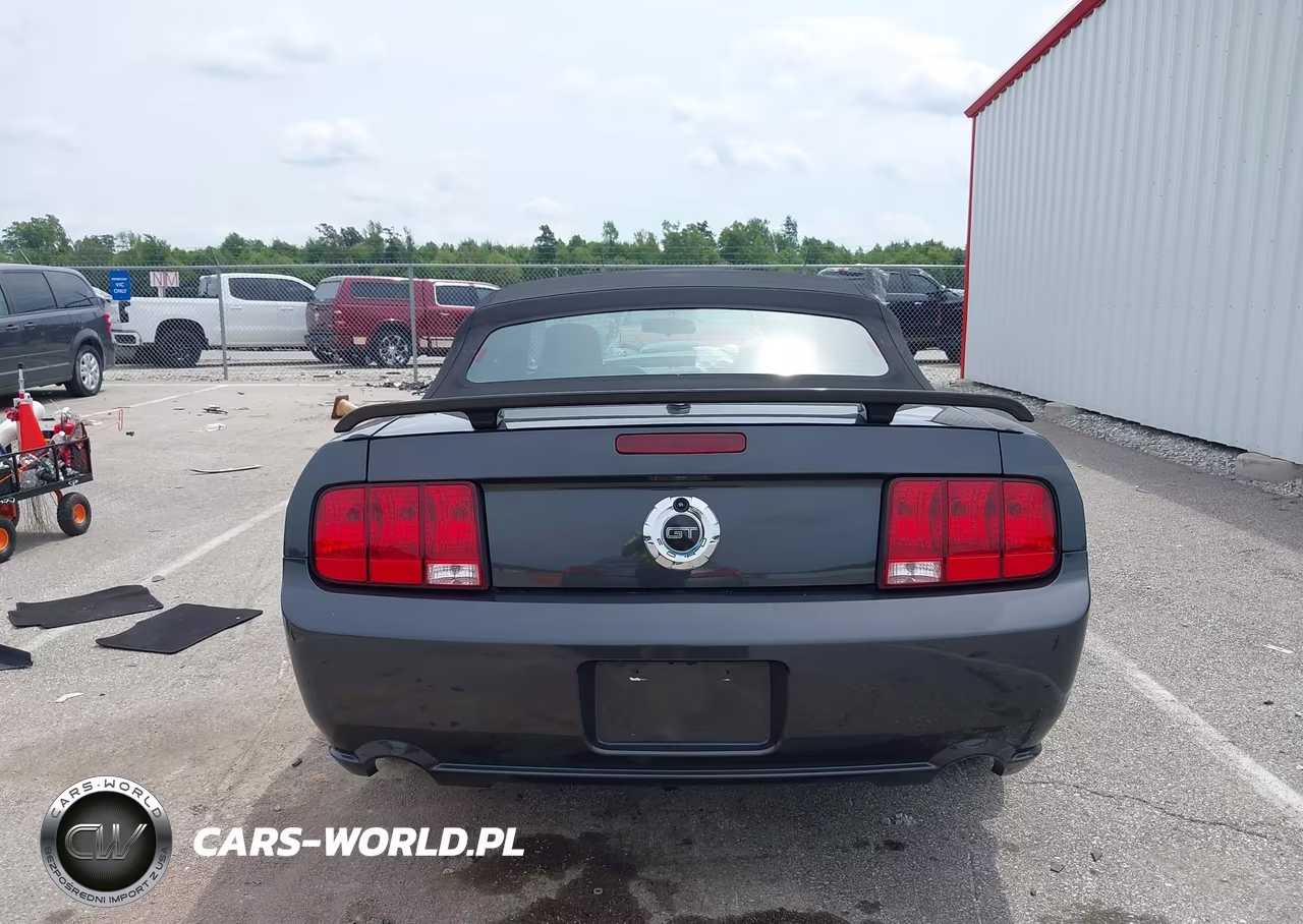 2009 Ford Mustang Gt-Gt Premium VIN:1ZVHT85H295121326 - 17