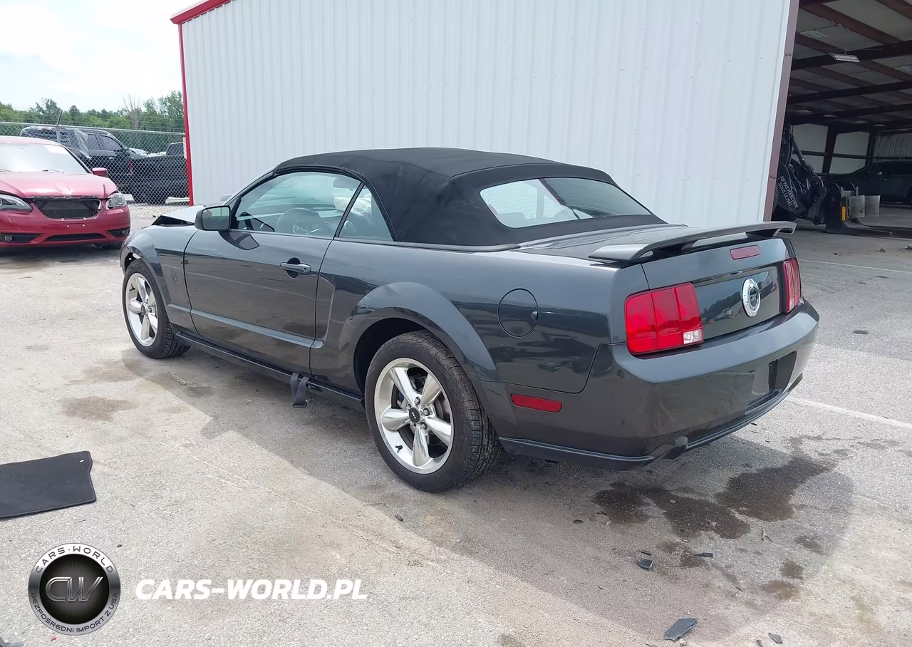 2009 Ford Mustang Gt-Gt Premium VIN:1ZVHT85H295121326 - 3