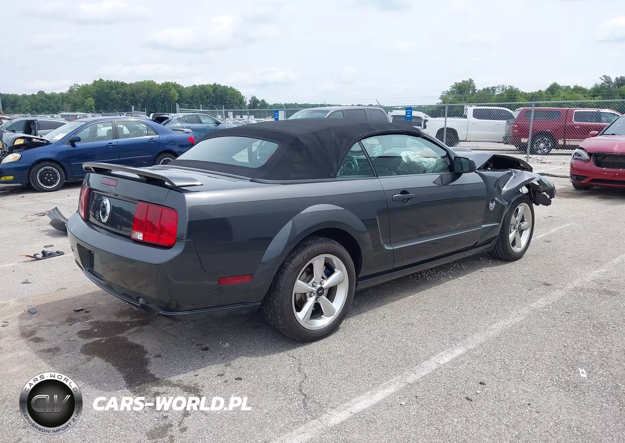 2009 Ford Mustang Gt-Gt Premium VIN:1ZVHT85H295121326 - 4