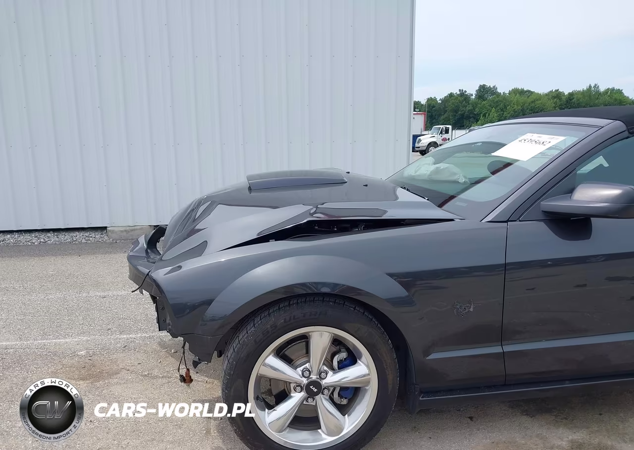 2009 Ford Mustang Gt-Gt Premium VIN:1ZVHT85H295121326 - 6