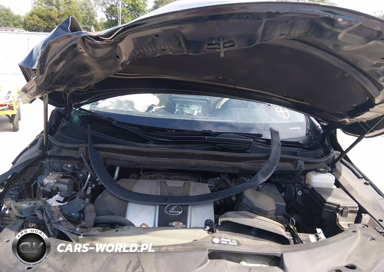 2022 Lexus Rx 350 VIN:2T2HZMAA4NC254441 - 10