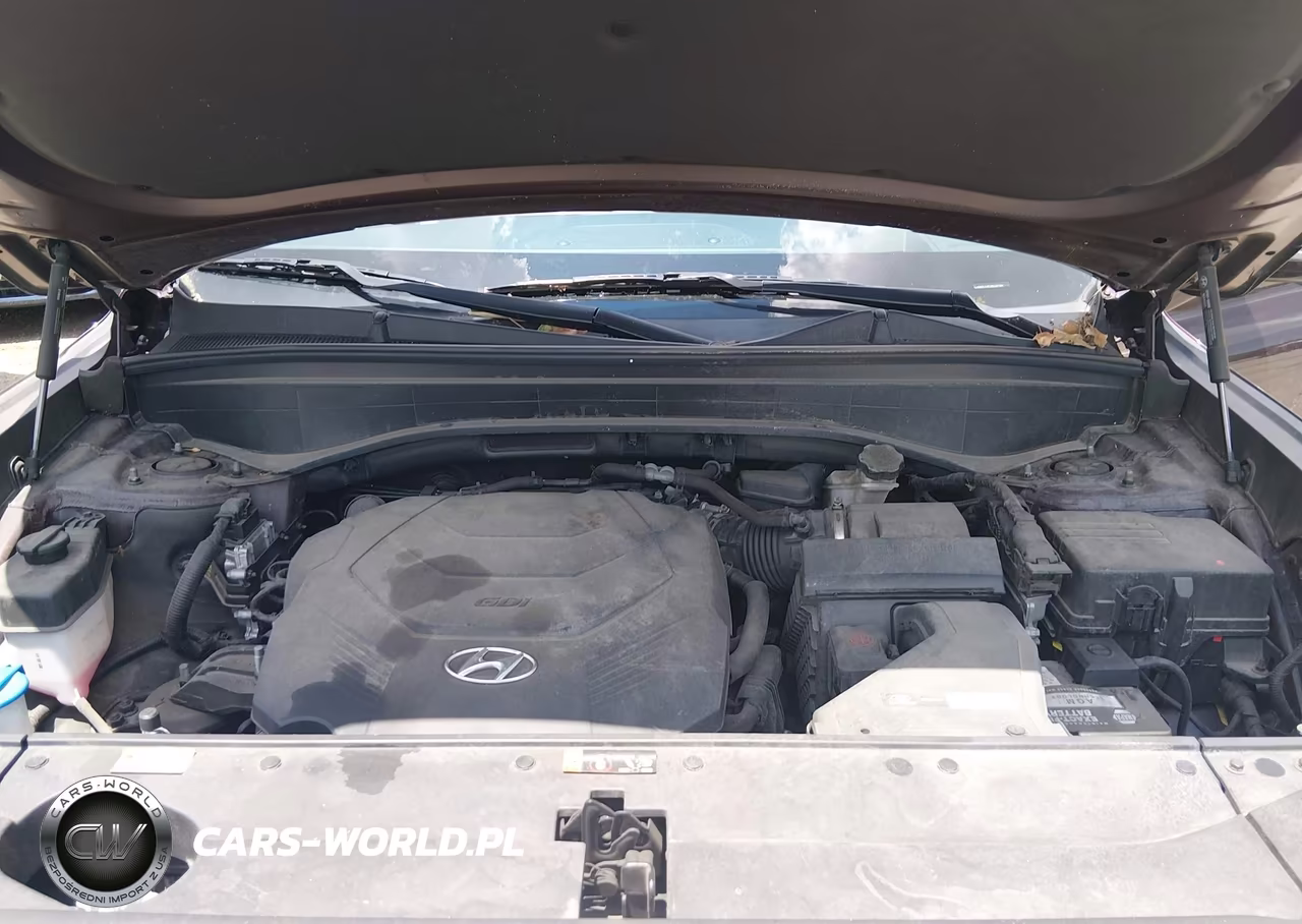 2021 Hyundai Palisade Calligraphy VIN:KM8R7DHE8MU289164 - 10