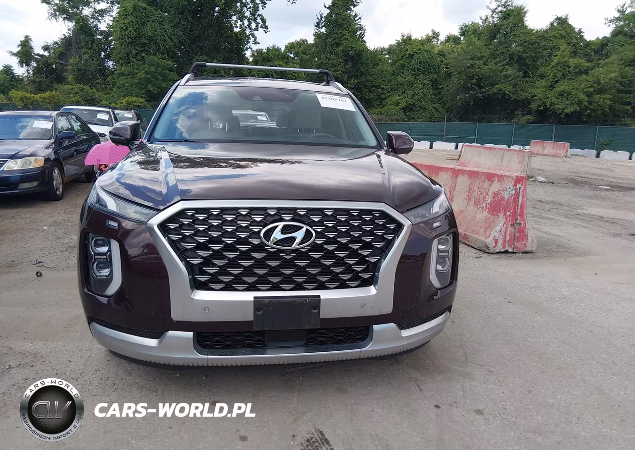 2021 Hyundai Palisade Calligraphy VIN:KM8R7DHE8MU289164 - 13