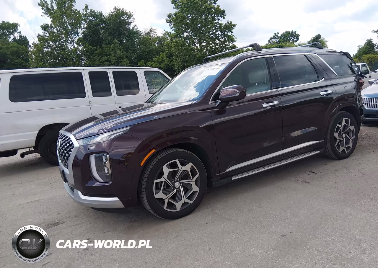 2021 Hyundai Palisade Calligraphy VIN:KM8R7DHE8MU289164 - 2