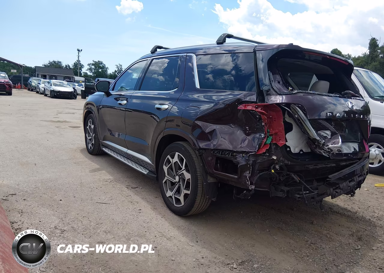 2021 Hyundai Palisade Calligraphy VIN:KM8R7DHE8MU289164 - 3