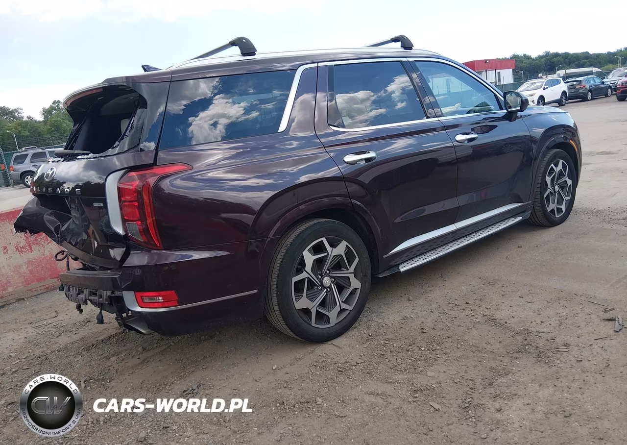 2021 Hyundai Palisade Calligraphy VIN:KM8R7DHE8MU289164 - 4